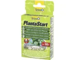 Hornbach Tetra PlantaStart 12 Tabletten
