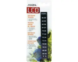 Digital-Thermometer auf Karte für Aquarien