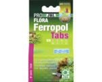 Hornbach JBL Ferrotabs, 30 Tabletten