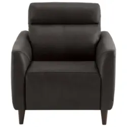 Sessel in Echtleder Dunkelbraun