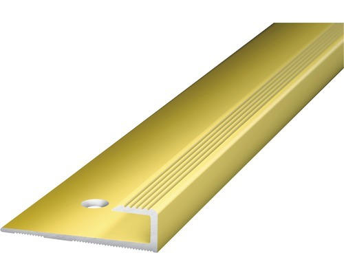 Einschubprofil Alu gold gelocht 27 x 7 x 1000 mm