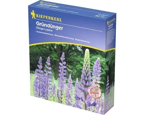 Gründünger Kiepenkerl Düngelupinen 1 kg