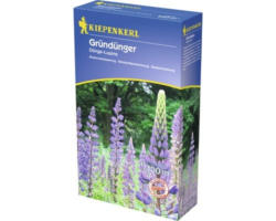 Gründünger Kiepenkerl Düngelupinen 2 kg