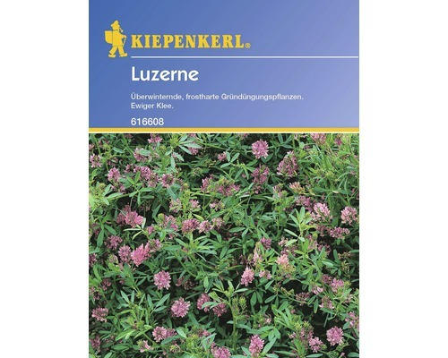 Gründünger Luzerne Kiepenkerl 50 g