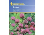 Hornbach Gründünger Rotklee Kiepenkerl 60 g