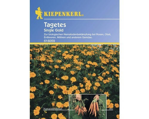 Gründünger gegen Nematoden Kiepenkerl Tagetes 'Single Gold' 6 g