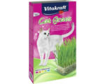 Hornbach Katzensnack VITAKRAFT Cat Gras 120 g