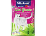 Hornbach Katzensnack VITAKRAFT Cat Gras Nachfüllbeutel 50 g