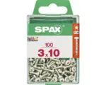 Hornbach Spax Universalschraube T 10, Halbrundkopf, 3x10 mm, 100 Stück