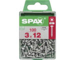 Hornbach Spax Universalschraube Kreuzschlitz PZ 1, Halbrundkopf, 3x12 mm, 100 Stück