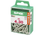 Hornbach Spax Universalschraube T 20, Halbrundkopf, 4x30 mm, 60 Stück