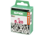 Hornbach Spax Universalschraube T 20, Halbrundkopf, 5x20 mm, 50 Stück