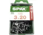 Hornbach Spax Rückwandschraube Tellerkopf Stahl Kreuzschlitz PZ, 3x20 mm, 100 Stück