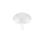 XXXLutz Lauterach - Ihr M&ouml;belhaus bei Bregenz Deckenleuchte 35/20 cm