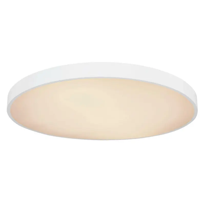 Led-Deckenleuchte 60 W 80/10,5 cm