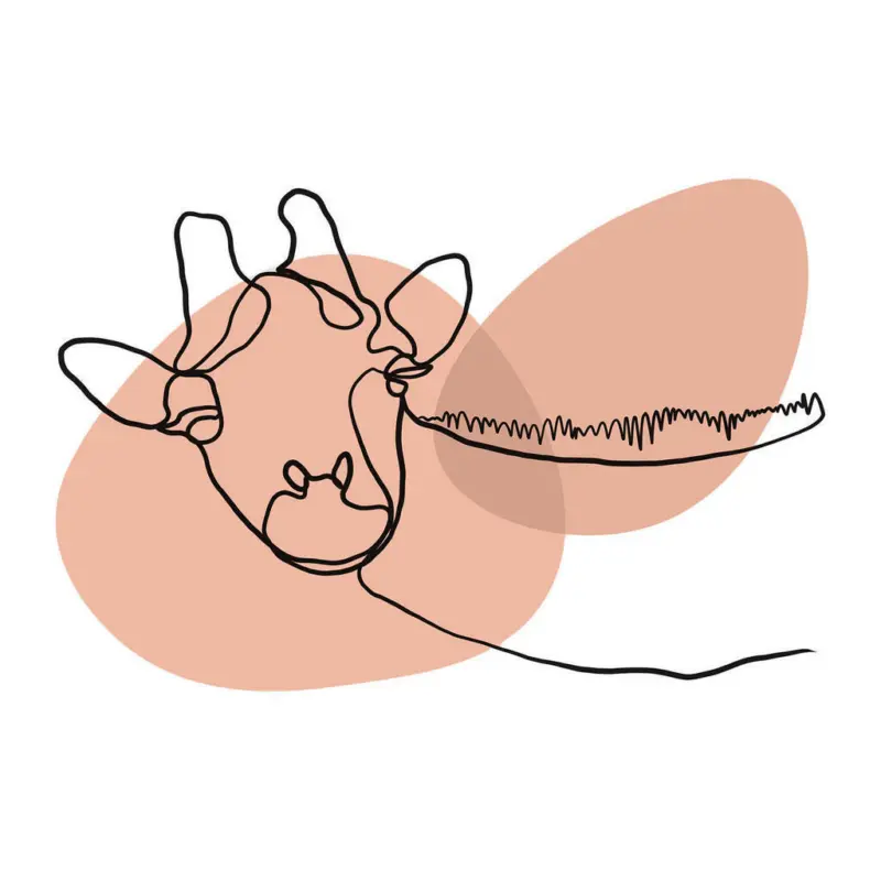 Babywanddeko