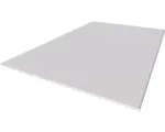 Hornbach Knauf Gipskartonplatte Bauplatte GKB 2000 x 1250 x 12,5 mm