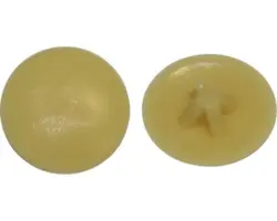 Abdeckkappen Größe PZ 2, Kiefer, Kunststoff, 50 Stück