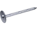 Hornbach Leichtbauplattenstift 3,1 x 50 galv.verzinkt, 1 KG