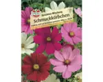 Hornbach Schmuckkörbchen Sensations 'Mischung Blumensamen'