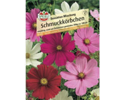 Schmuckkörbchen Sensations 'Mischung Blumensamen'