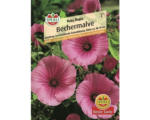 Hornbach Sperli Blumensamen 'Bechermalve'