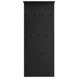 Garderobenpaneel 50/120,6/19,9 cm