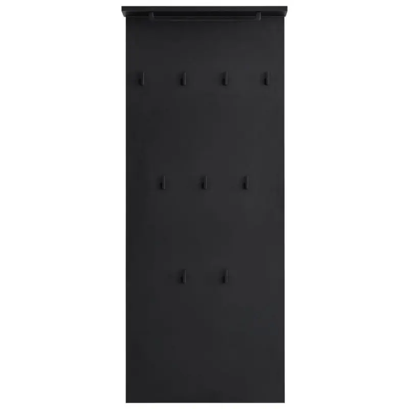 Garderobenpaneel 50/120,6/19,9 cm