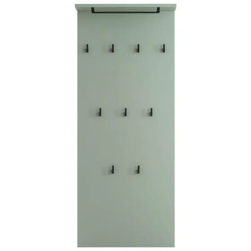 Garderobenpaneel 50/120,6/19,9 cm