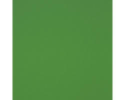 Hartschaumplatte Hobbycolor grün 500 x 500 x 3 mm