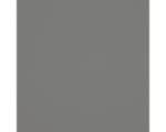 Hornbach Hartschaumplatte Hobbycolor grau 500 x 500 x 3 mm