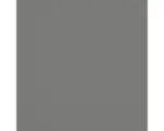 Hornbach Hartschaumplatte Hobbycolor grau 500 x 500 x 3 mm