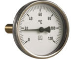 Hornbach Zeigerthermometer 1/2" 0-120 °C