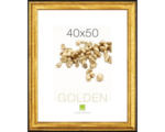 Hornbach Bilderrahmen Holz GOLDEN I gold 40x50 cm