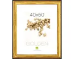 Hornbach Bilderrahmen Holz GOLDEN I gold 40x50 cm