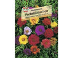 Hornbach Prachtmix Blumensamen 'Portulakröschen'