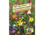 Hornbach Blumenmischung 1001 Nacht Sperli Blumensamen 'Sommerblumen Teppich'