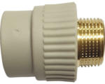 Hornbach PPR-Übergangsmuffe Multitherm 20x15mm Außengewinde
