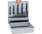Hornbach HSS Metallbohrer Set Alpen 21-tlg