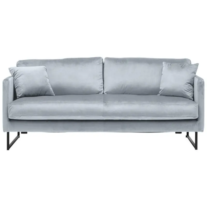 2,5-Sitzer in Samt Grau, Silberfarben