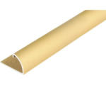 Hornbach Abschlussprofil Aluminium gold 24,5 x 13,5 x 9 mm , 2 m