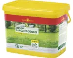 Hornbach Rasen-Langzeitdünger WOLF-Garten Energy-Depot 5,4 kg / 120 m²