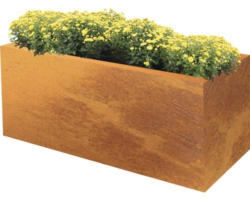 Pflanzkübel Hochbeet Palatino Lotte Corten-Stahl 120x40x50 cm rost