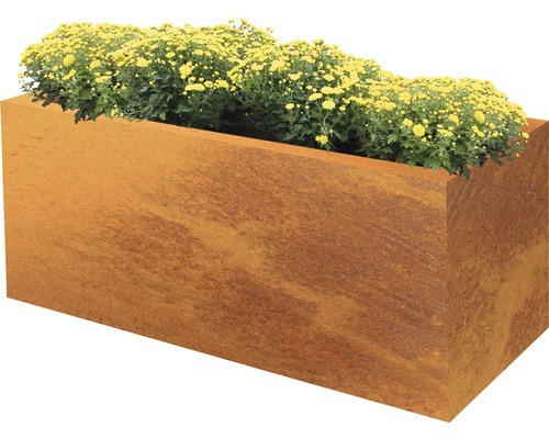 Pflanzkübel Hochbeet Palatino Lotte Corten-Stahl 120x40x50 cm rost