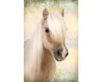 Hornbach Poster Sweet Horse 61x91,5 cm