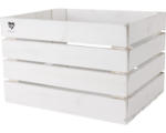 Hornbach Buildify Kiste weiß 44x33x28 cm