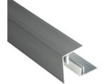 Hornbach Konsta Abschlussprofil Aluminium eloxiert inkl. Befestigungsschiene 45x59x2500 mm