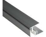 Hornbach Konsta Abschlussprofil 41 Aluminium eloxiert inkl. Befestigungsschiene 41x45x2500 mm