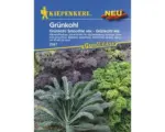 Hornbach Gemüsesamen Kiepenkerl Grünkohl 'Smoothie Mix'