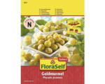 Hornbach Physalis Ananaskirsche 'Goldmurmel' FloraSelf Select samenfestes Saatgut Gemüsesamen